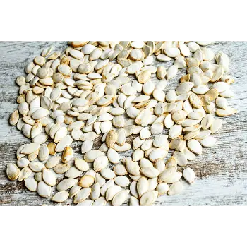  Fresh Squash Seed
